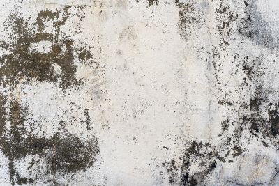 Concrete Tinting in Fort Worth, TX